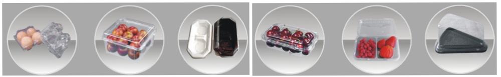 Widely used custom design plastic box forming machine manufacturer sale