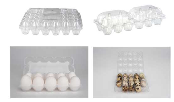 Plastic Egg Tray Machine