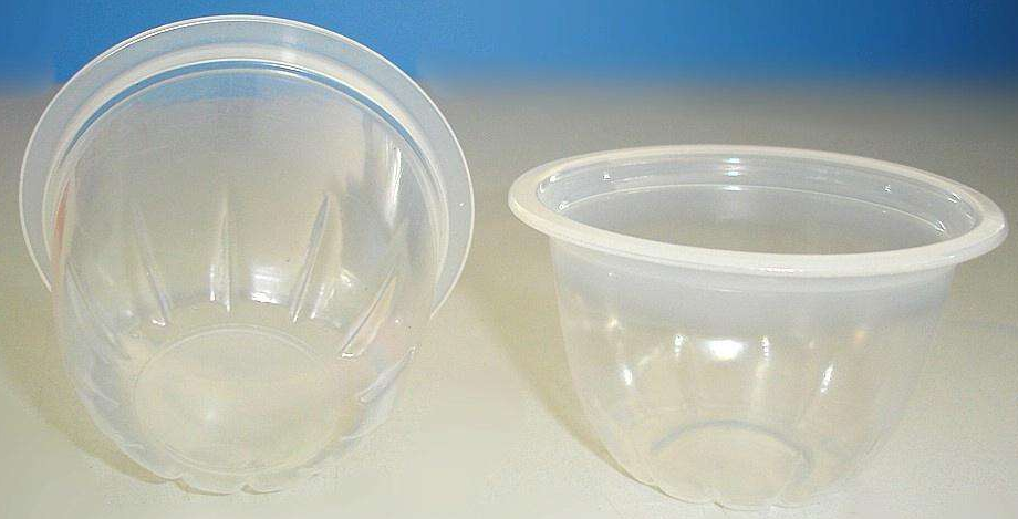 Jelly Cup Thermoforming Machine