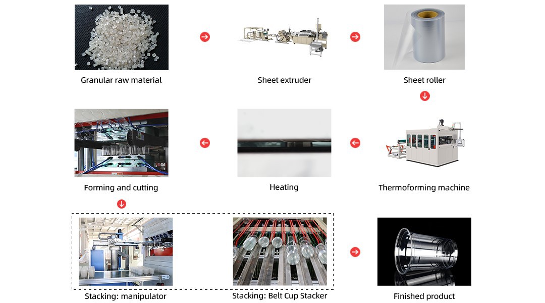 Disposable Plastic Cup Forming Machine Process Disposable Plastic Cup Forming Machine Process