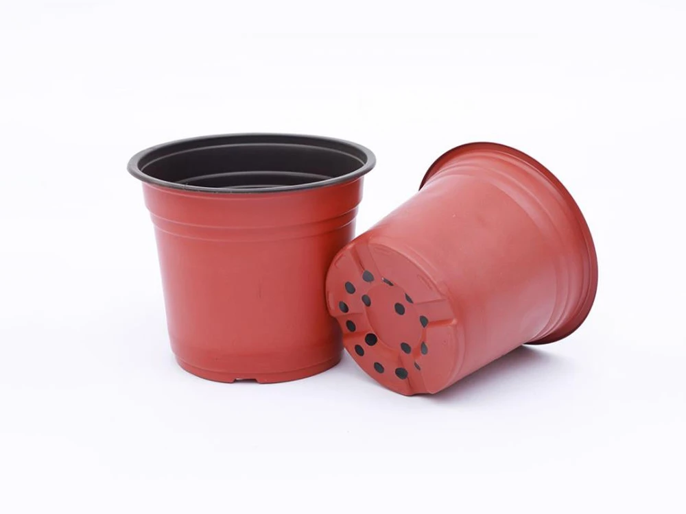 product-1000-750 product-1000-750