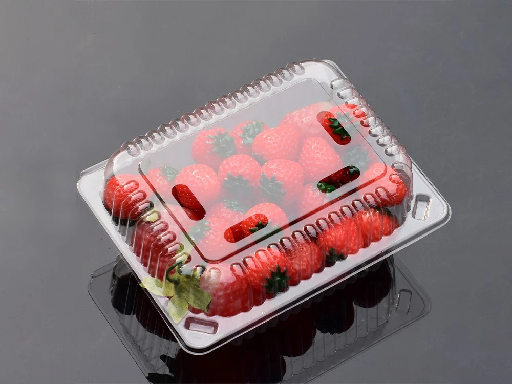 product-1000-750 product-1000-750