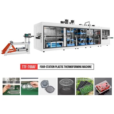 Plastic Cake Box Making Machine