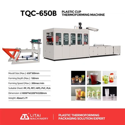 Water Cup Thermoforming Machine
