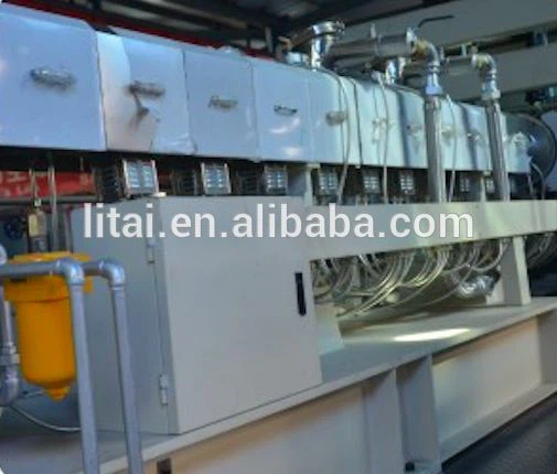 Twin Screw Pet Extruder