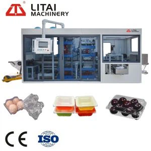 Full Automatic Disposable Plastic Egg Tray Thermoforming Machine
