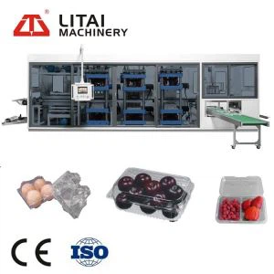 Automatic Plastic Disposable Food Container Making Machine