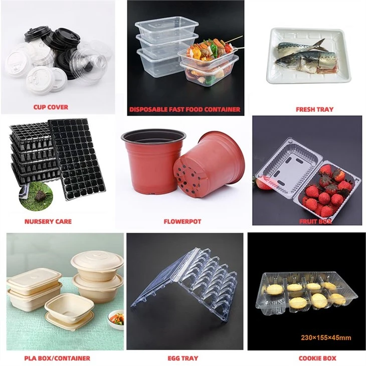 Disposable Plastic Seeding Tray forming Machine