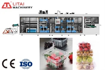 Plastic Disposable Lateral Hole Plastic Fruit Box Thermoforming Machine