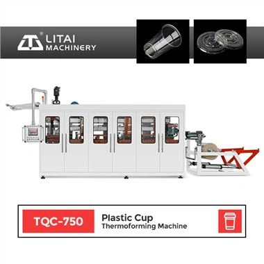 Disposable Plastic Plate Cup Thermoforming Machine