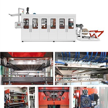 High Efficiency Automatic Forming Machine Plastic Water Cup Making Machine