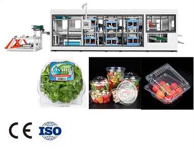 PET Clear Plastic Clamshell Making Machine