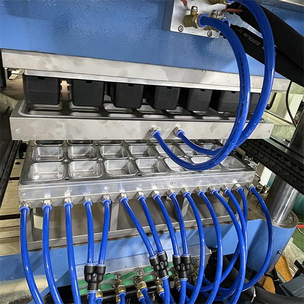 Disposable Plastic PET Fruit Container Making Machine