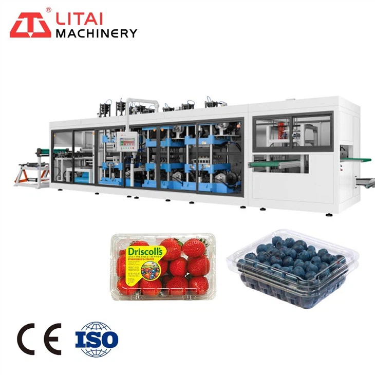Plastic Clamshell Making Machine