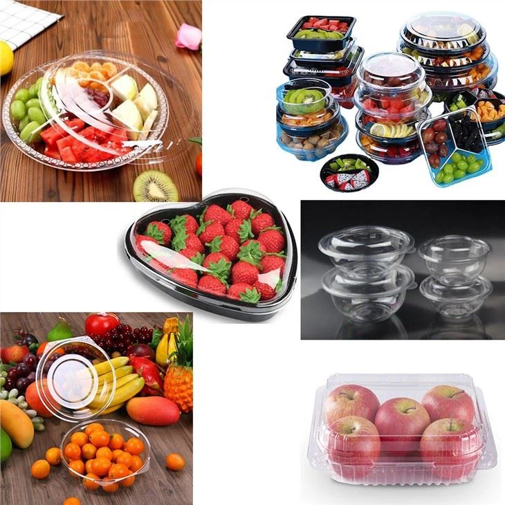 Plastic Disposable Box With Lids Making Machine