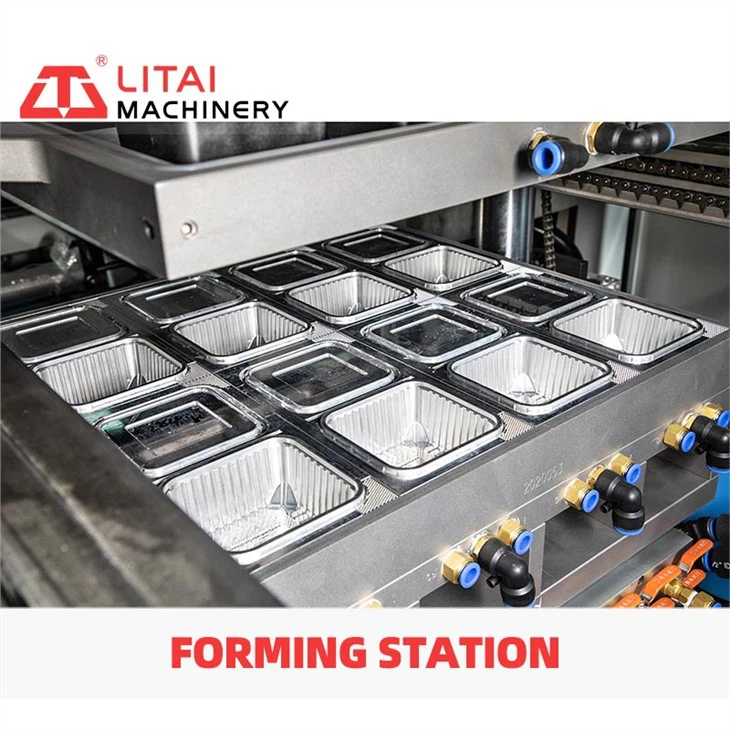 Plastic Packaging Takeaway Food Container Thermoforming Machine