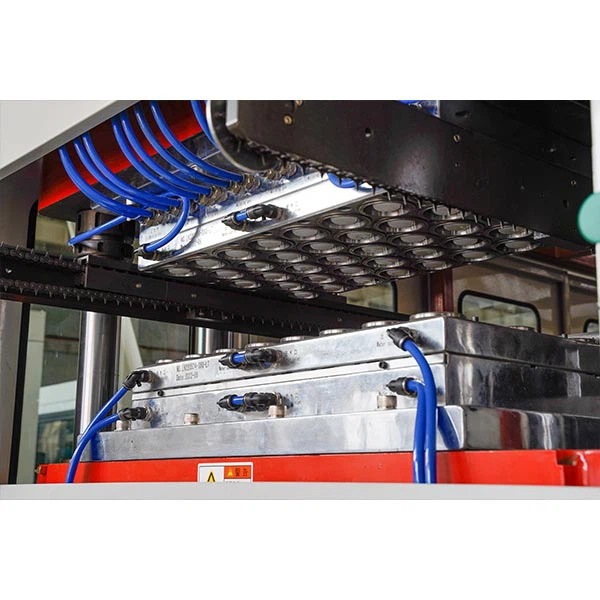 Plastic Salad Bowl With Lid Thermoforming Machine