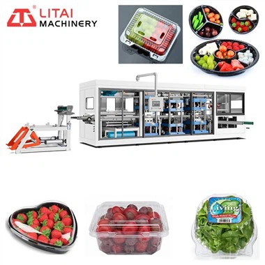 New Style PET Fruit Box Making Machine