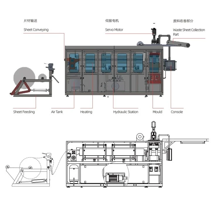 Fully Automatic Plastic Cup Thermoforming Machine factory